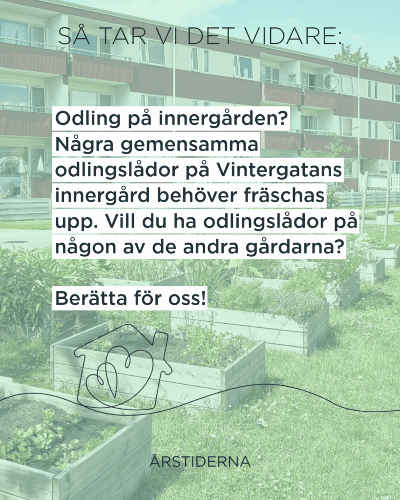 Fasad på Vintergatan i Bjuv och odlingslådor med grönsaker i