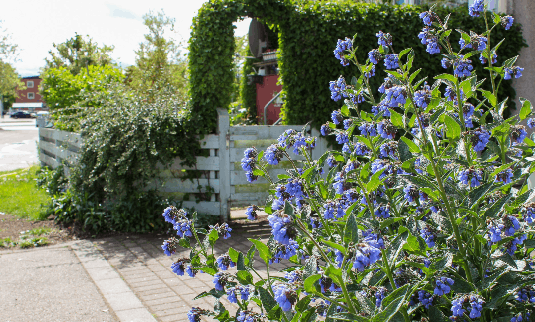 Öppettider sommar Bjuvsfastigheter