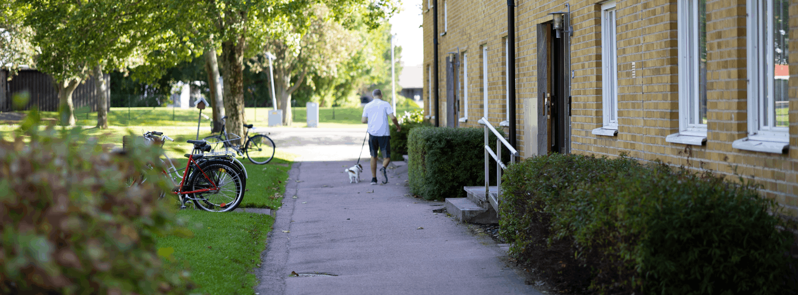 Gångväg med cyklar, grönska och bostadshus i området Tulpanen.