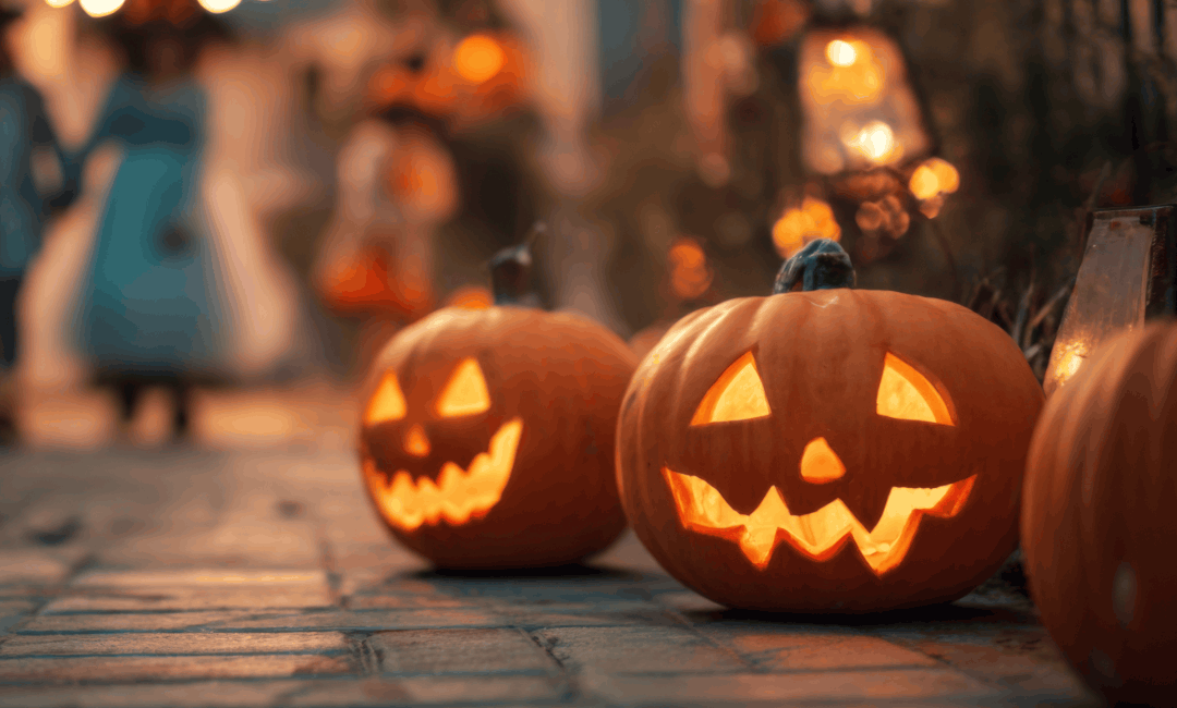Lysande halloweenpumpor står längs en gång i skymningen inför pumpajakten på Årstiderna.